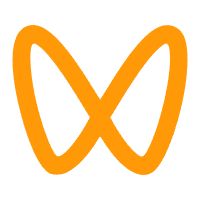 合作伙伴：国产芯片厂商